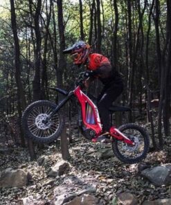 What Are The Best E-Bikes For 2025 And Where Can I Buy Them Online